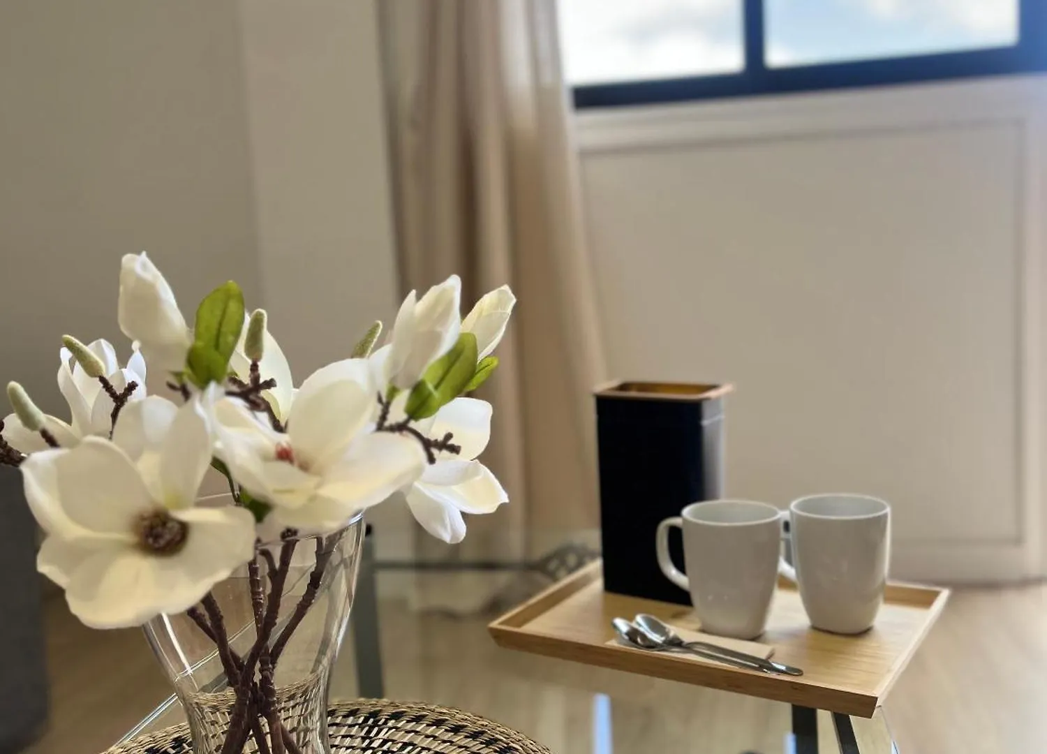 Santo Domingo Apartment Санта-Крус-де-Тенерифе